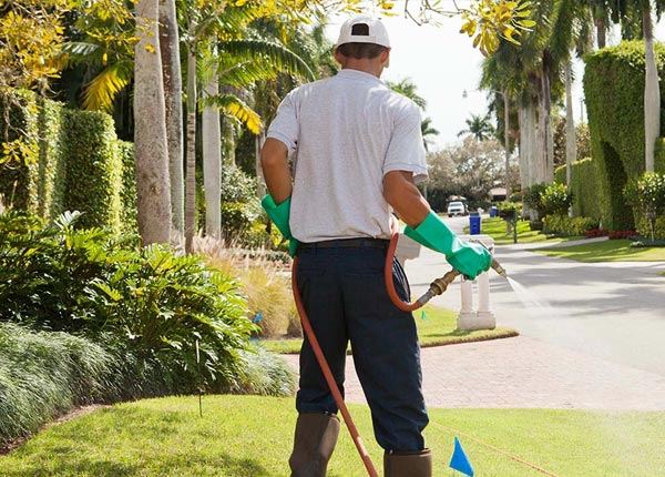 About Hamilton MA Pest Control Pros